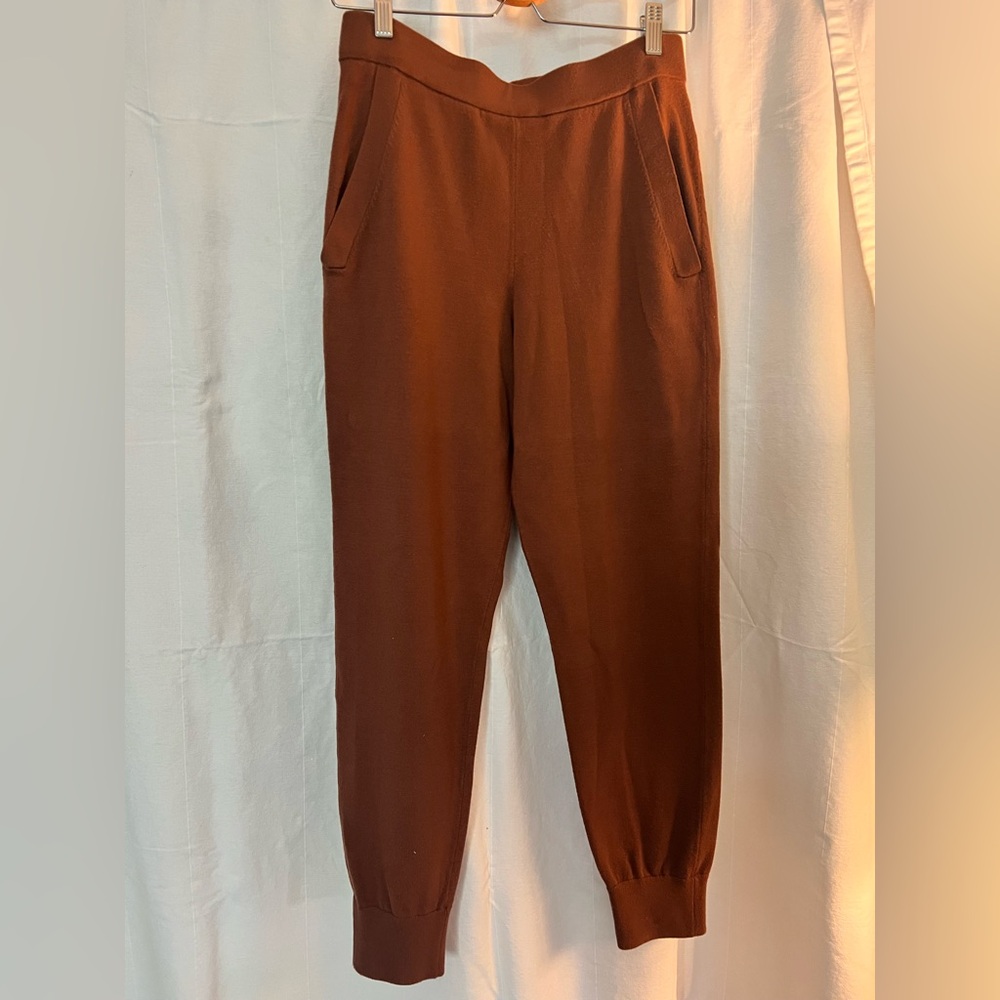 Babaton Brown Jogger Sweatpants